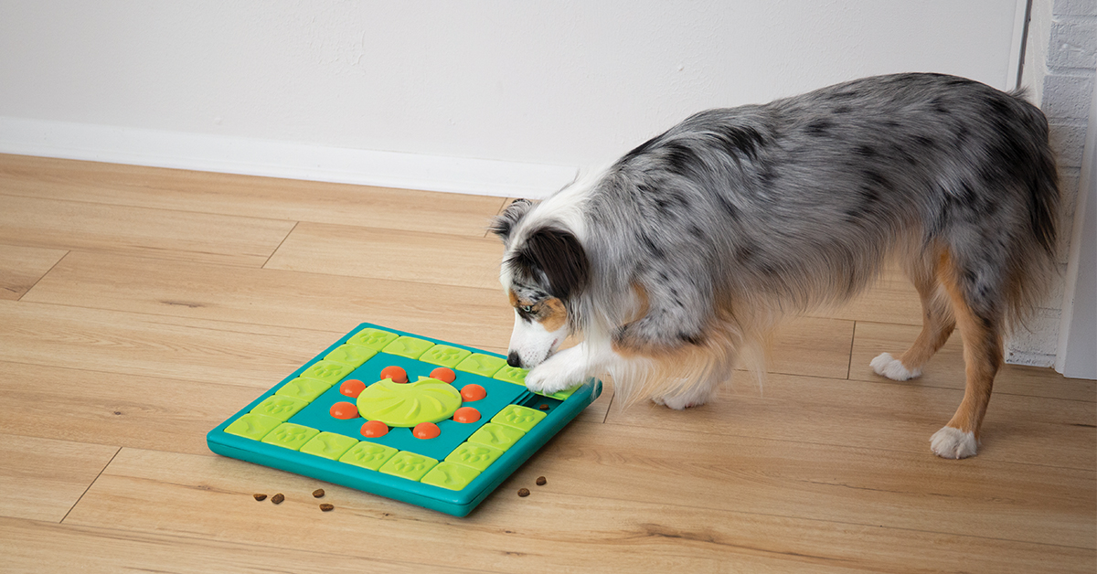 Dog Toys Puzzles