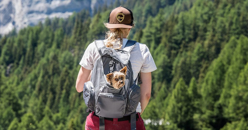 dog carrier pooch pouch