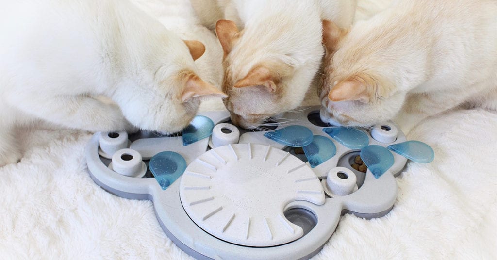 Cat Food Puzzle Feeder  Cat Brain Stimulation Feeder Treat Game