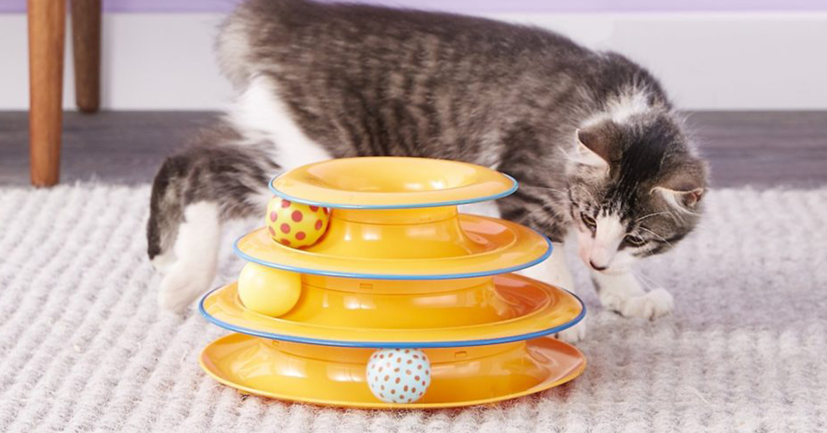 5 Cat Toys to Cure Your Kitty’s Boredom