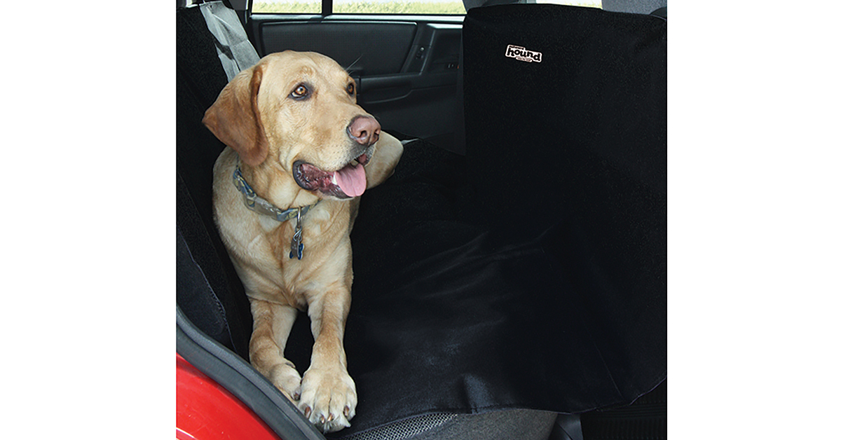 dog travel accessories the Backseat Hammock is essential to have for a a road trip with a dog
