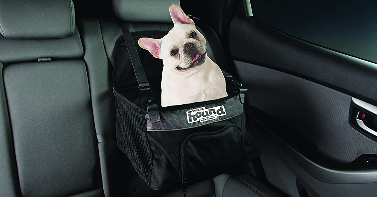dog in a car seat for dog road trip planner what to keep in your car for your dog
