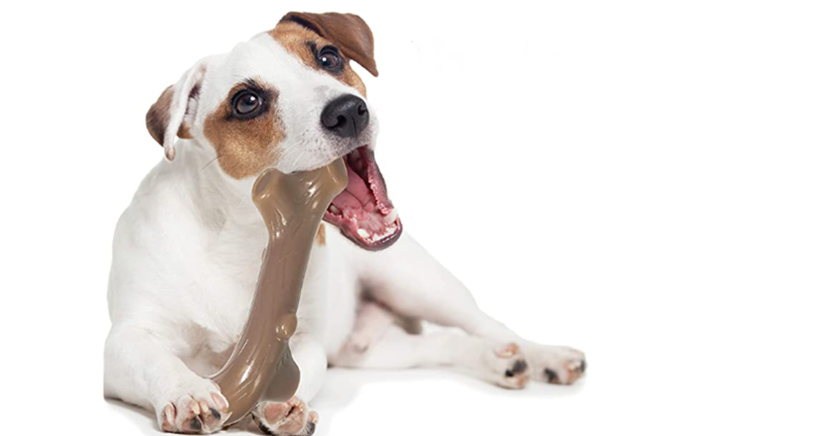 dog chewing liver branch toy
