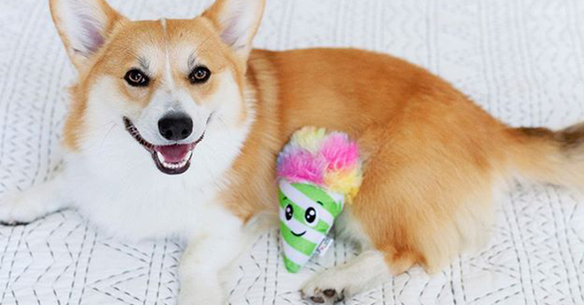 Dog Toy Trend Alert: Collectible Dog Toys