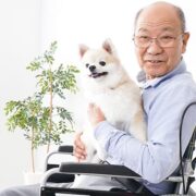 best-dogs-for-seniors