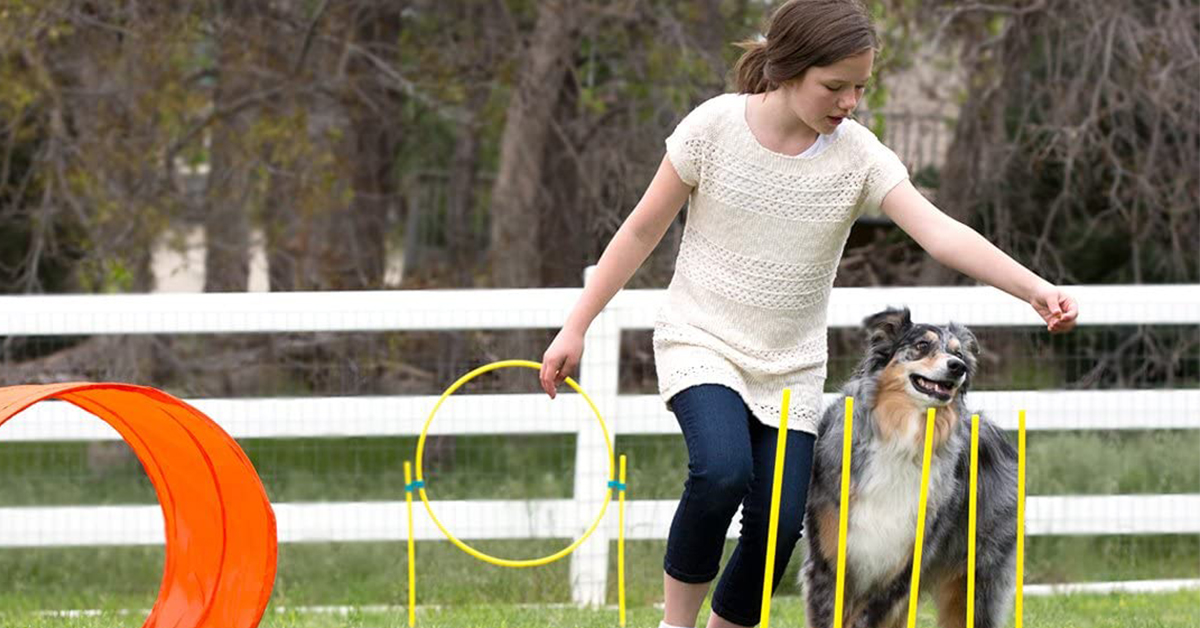 agility-kit alternatives to dog parks