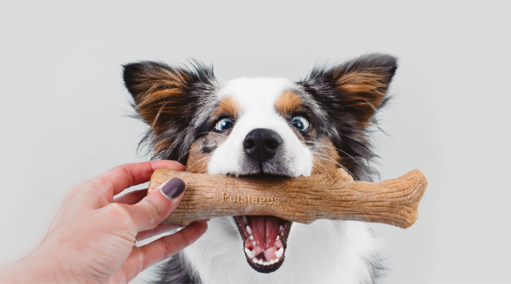 What are the best and safest dog toys to fetch? - Happy Hound · Happy Hound