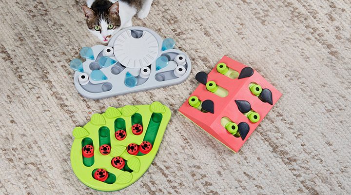 interactive cat games and cat puzzle toys