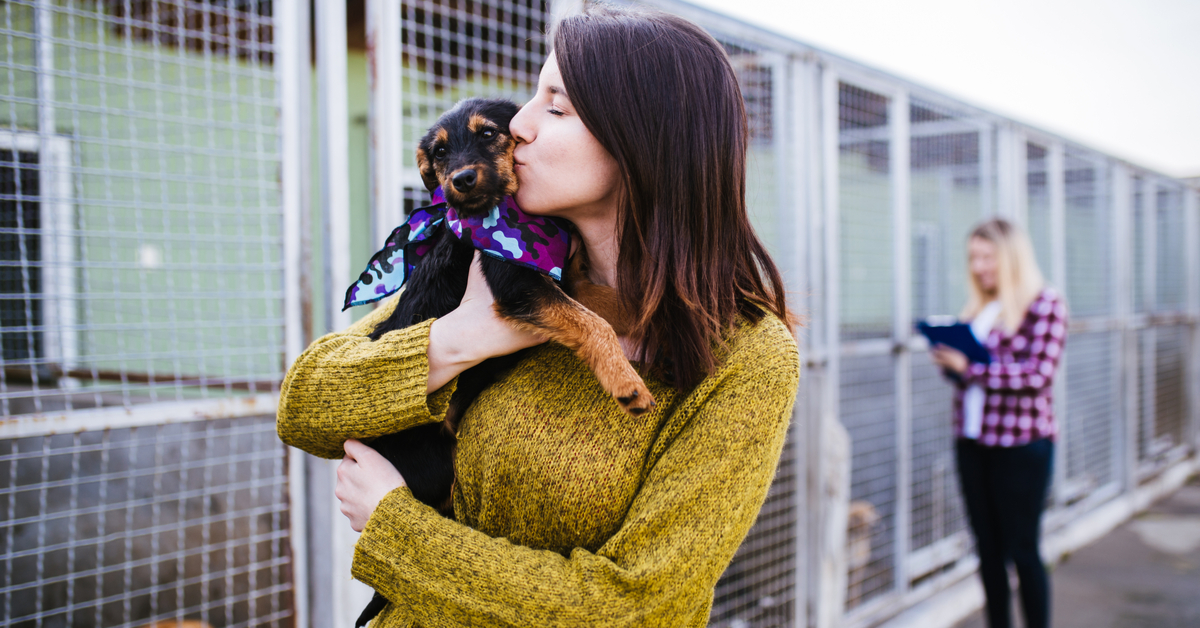 5 Reasons to Adopt a Rescue Dog