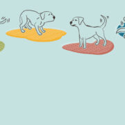how to read dog body language infographic