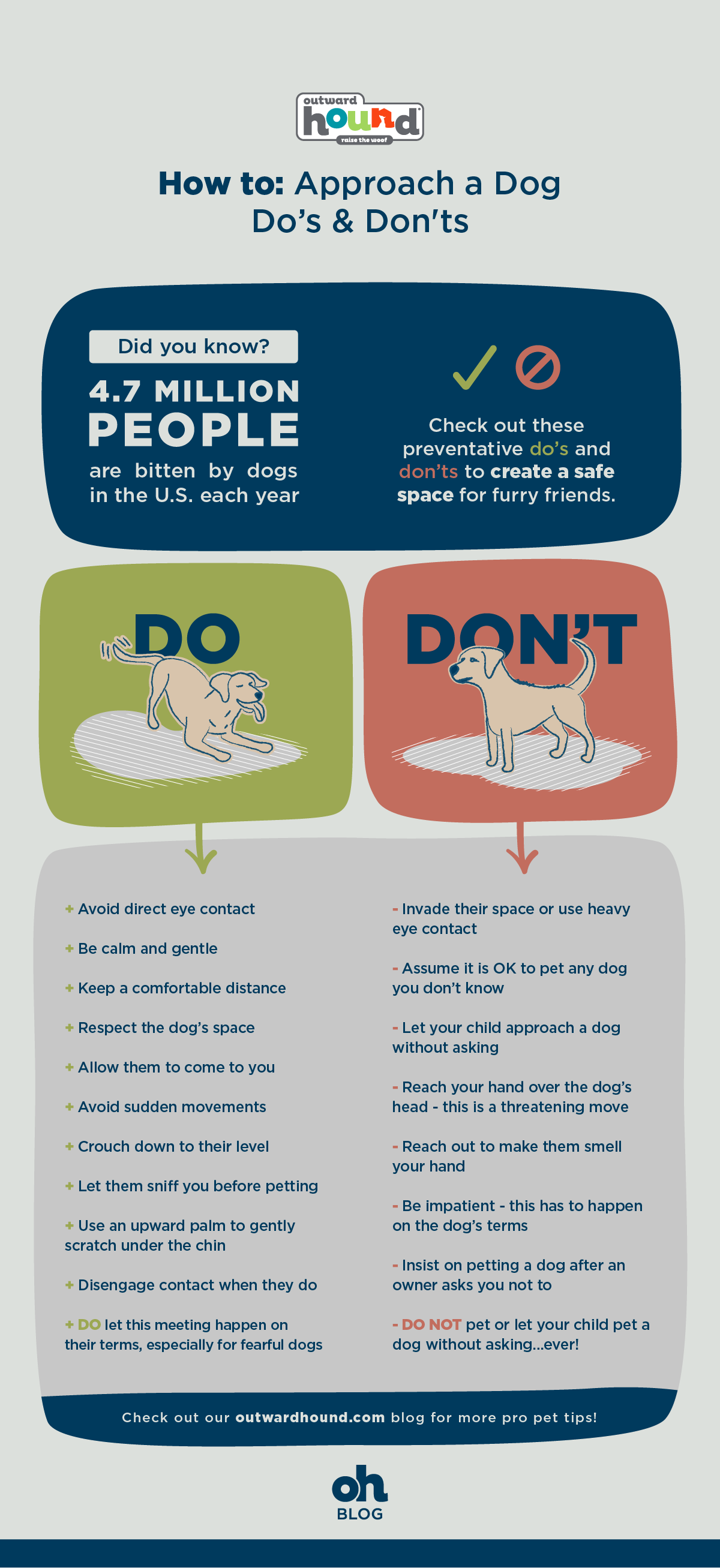 how to approach a dog infographic