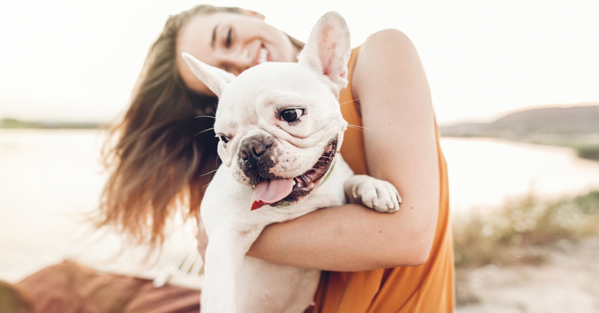 Do Dogs Need Sunscreen? Yeah, Bouy!