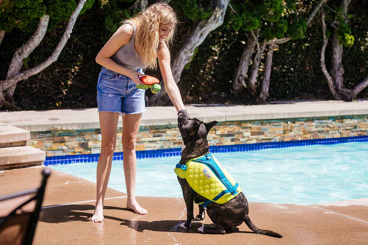 dog by the pool in a dog life jacket
