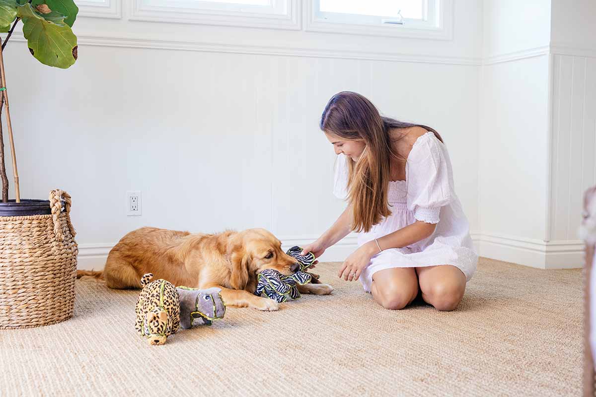 dog playing with human