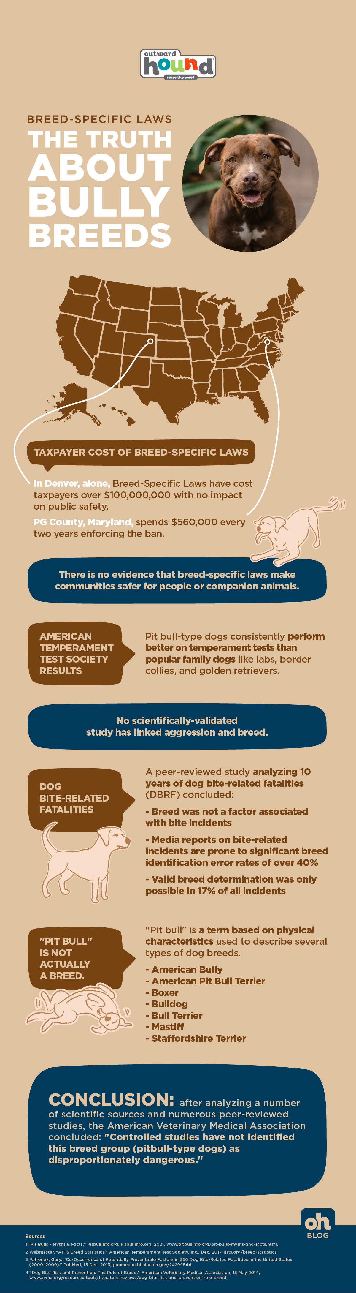 pitbull statistics facts infographic