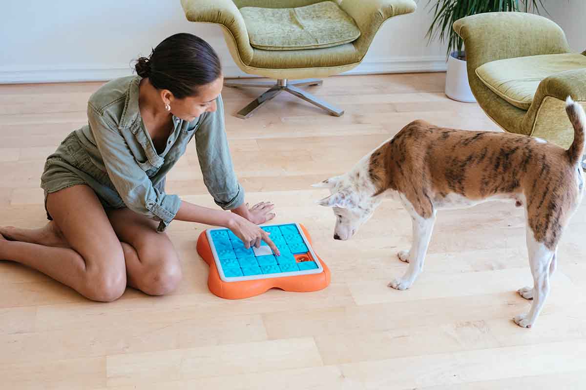 3 Types of Engaging Toys for Blind Dogs – Outward Hound