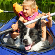 dog kayak