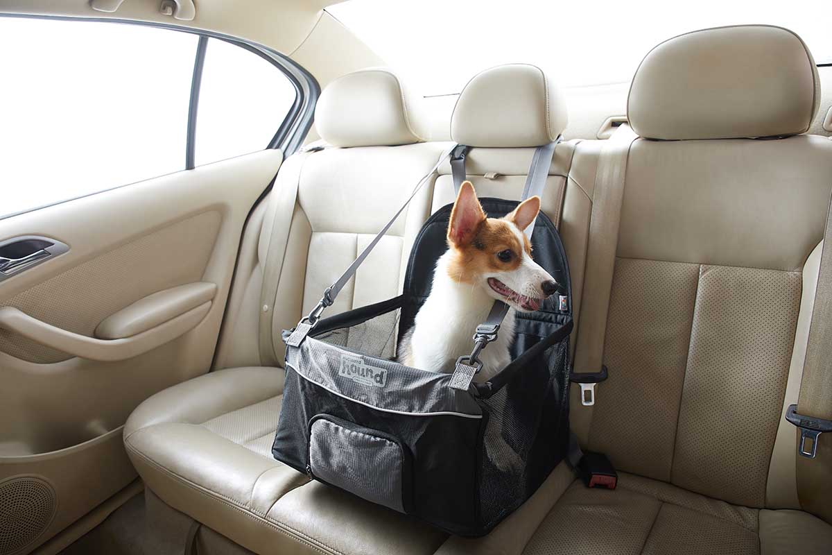 pup boost car seat for dogs