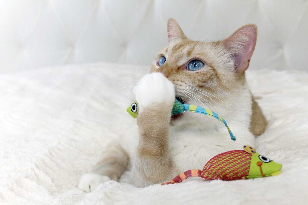catnip mouse cat chew toys. best toys for bored cats