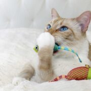 catnip mouse cat chew toys. best toys for bored cats