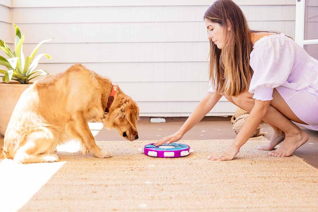 human helping dog with puzzle