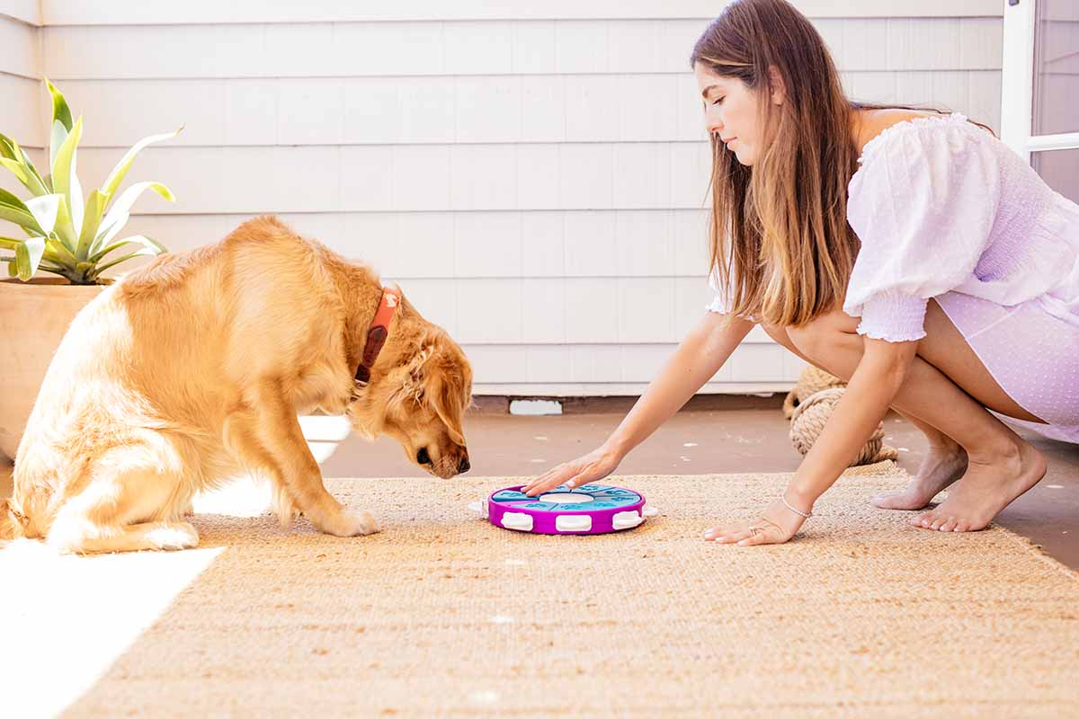 3 Types of Engaging Toys for Blind Dogs – Outward Hound