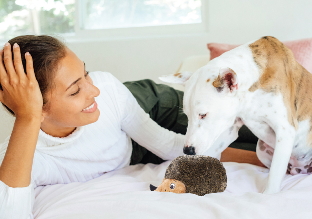 human and dog with hedgehog dog toy