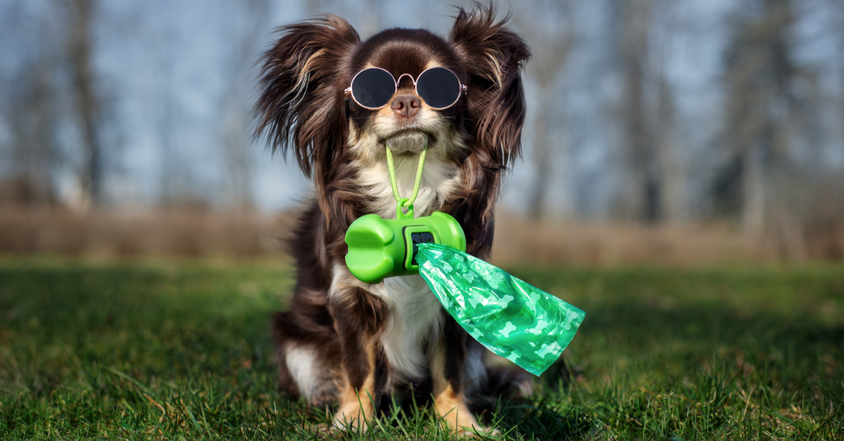 Happy Pups Pink- POOP & SCOOP Bag