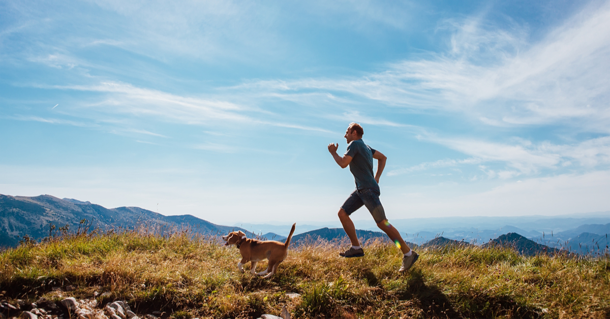 how to train your dog to run with you