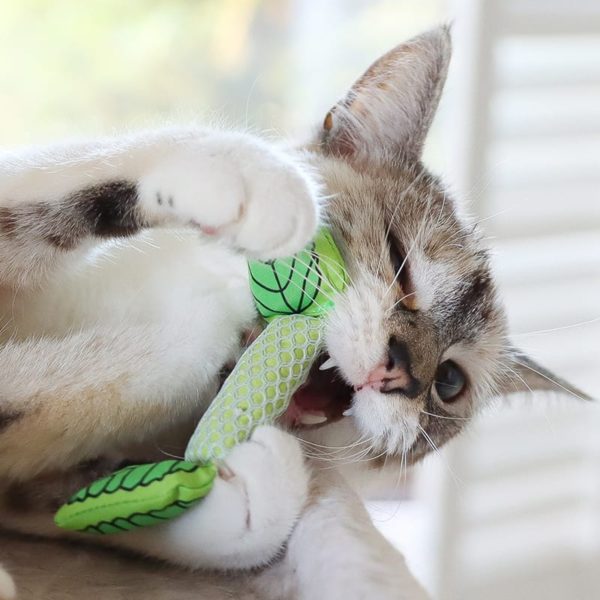 6 Safe Cat Chew Toys for Dental Health – Furtropolis