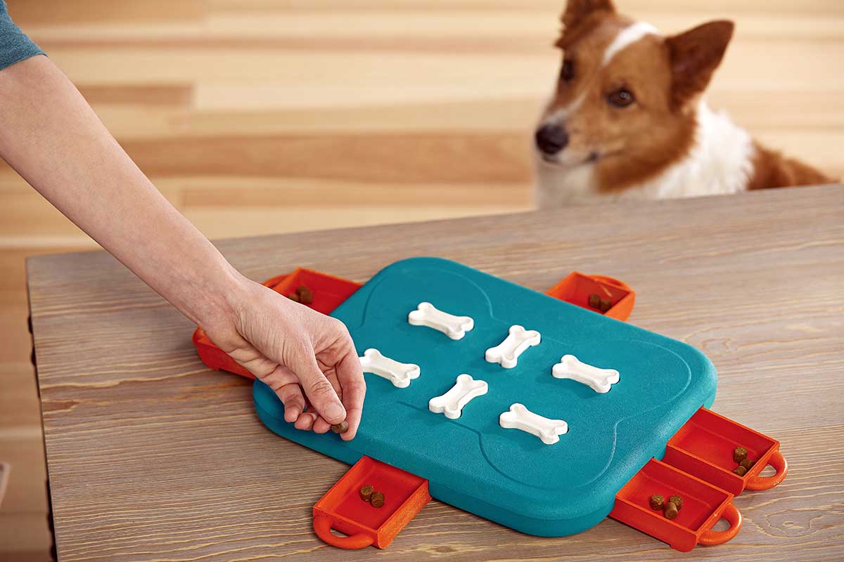 3 Ways To Create Advanced Dog Puzzles