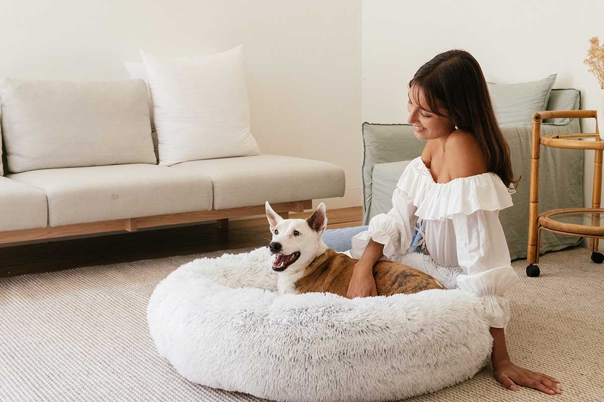 calming dog bed model