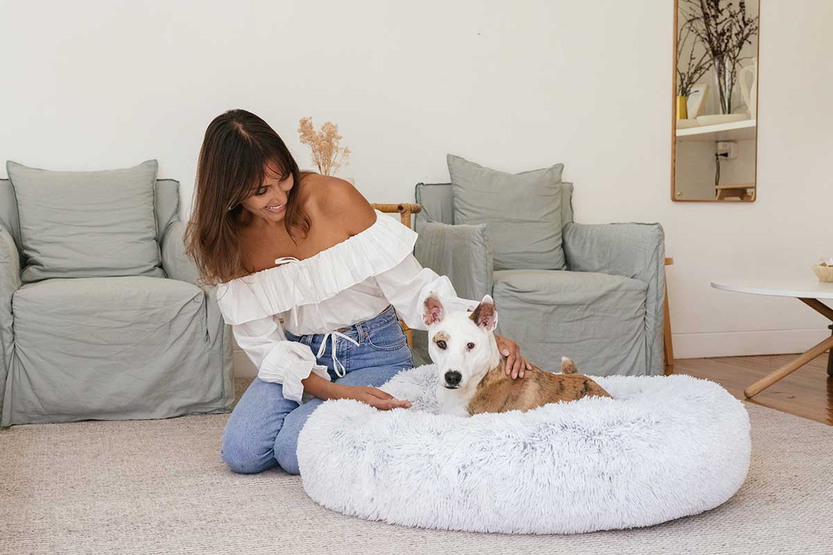 dog on a calming dog bed