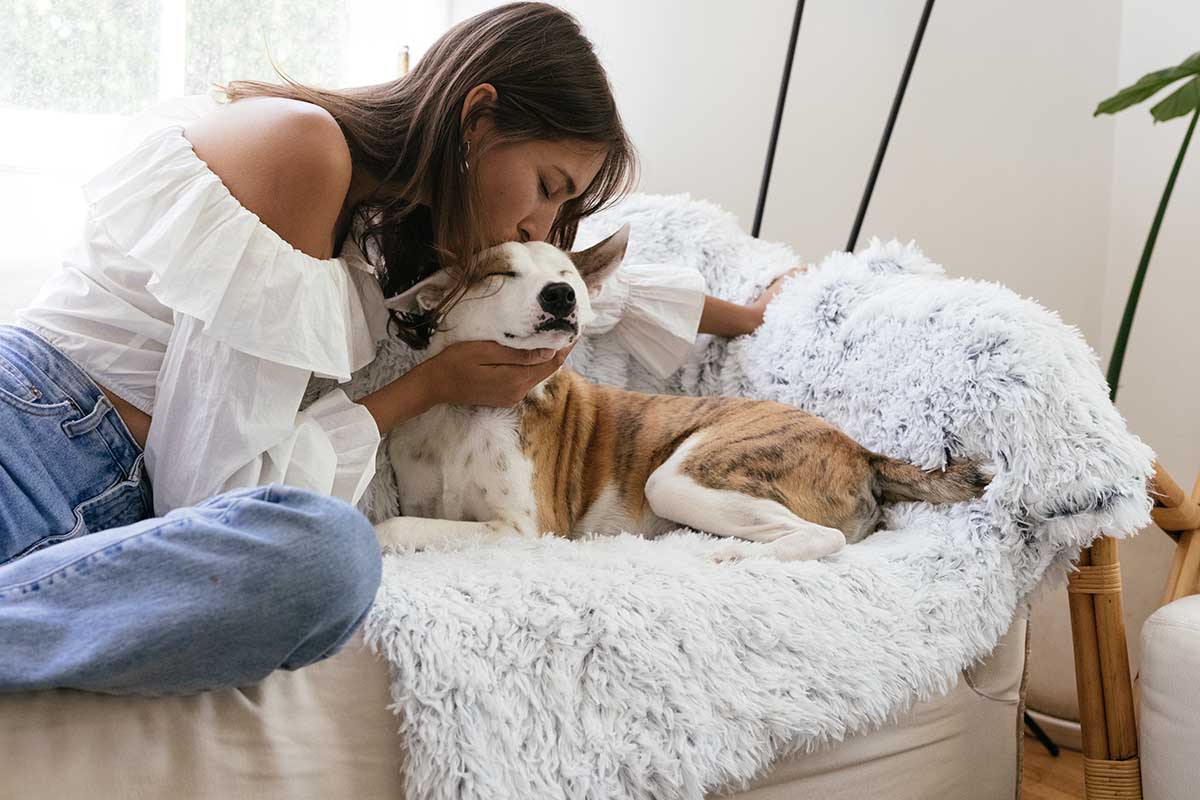 why do dogs cuddle humans