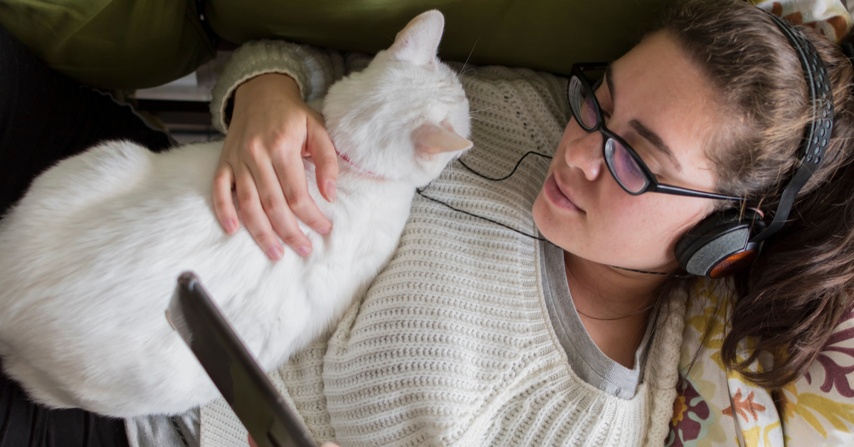 why do cats lay on your chest