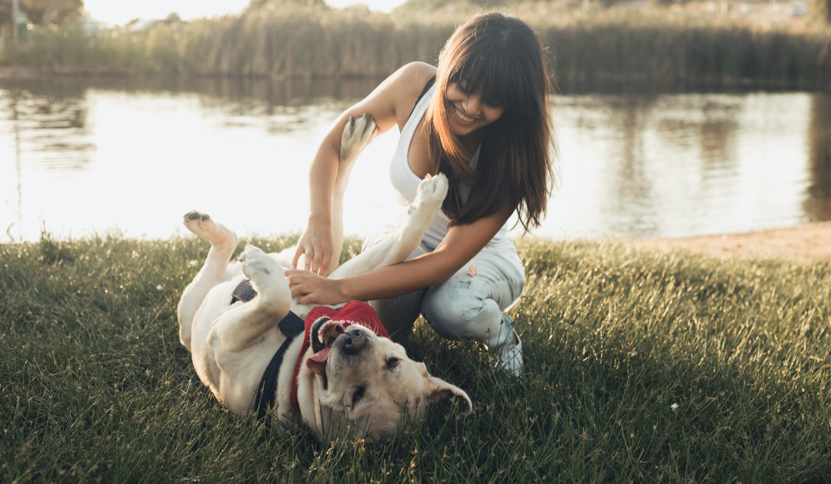 Are Dogs Ticklish? Petting Your Pup in All the Right Places