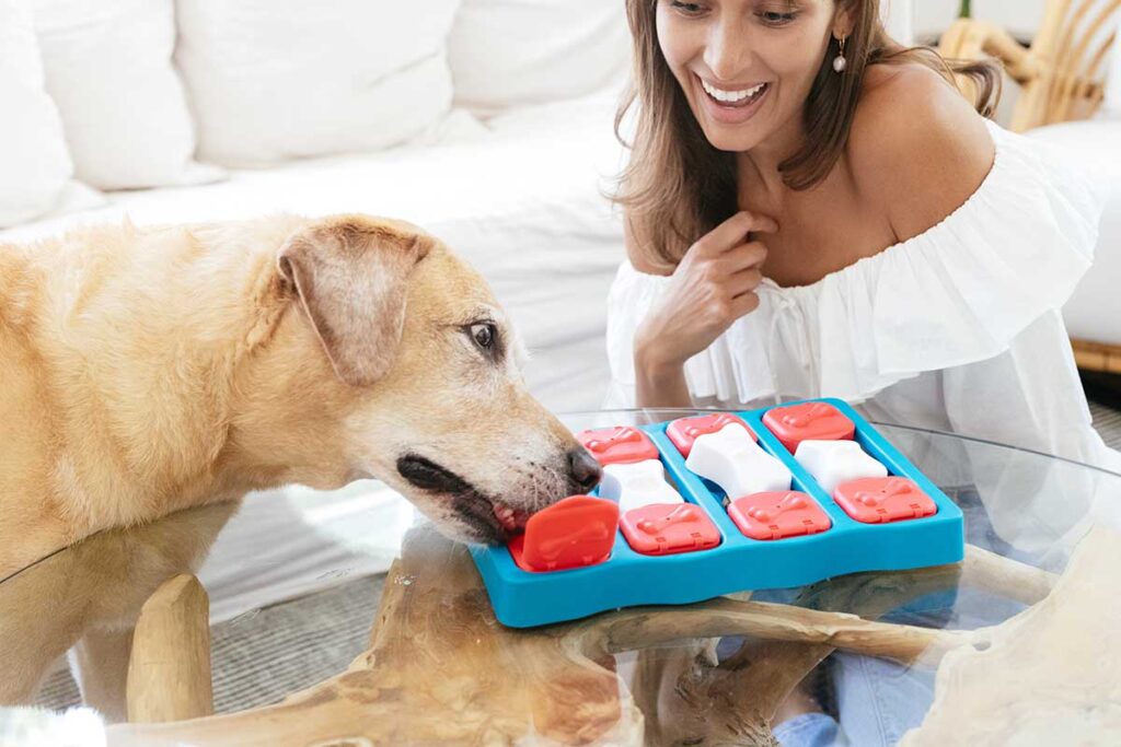 dog playing with dog puzzle
