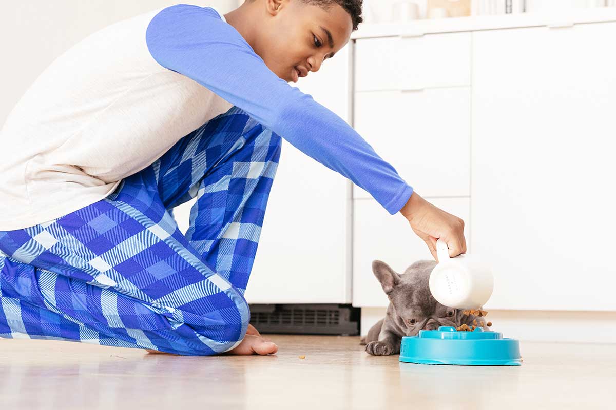 Interactive Slow Feeder Bowl  If Your Dog Eats Like They'll Never