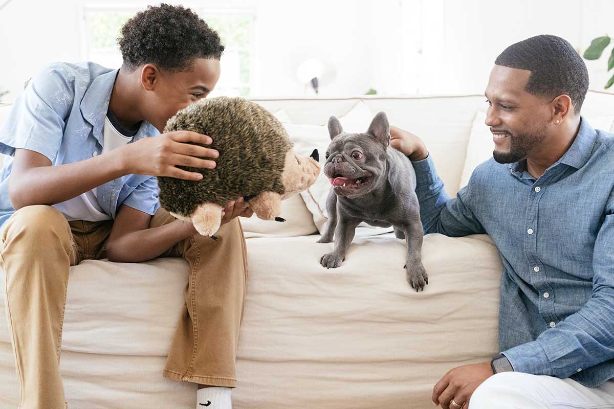family with a french bulldog