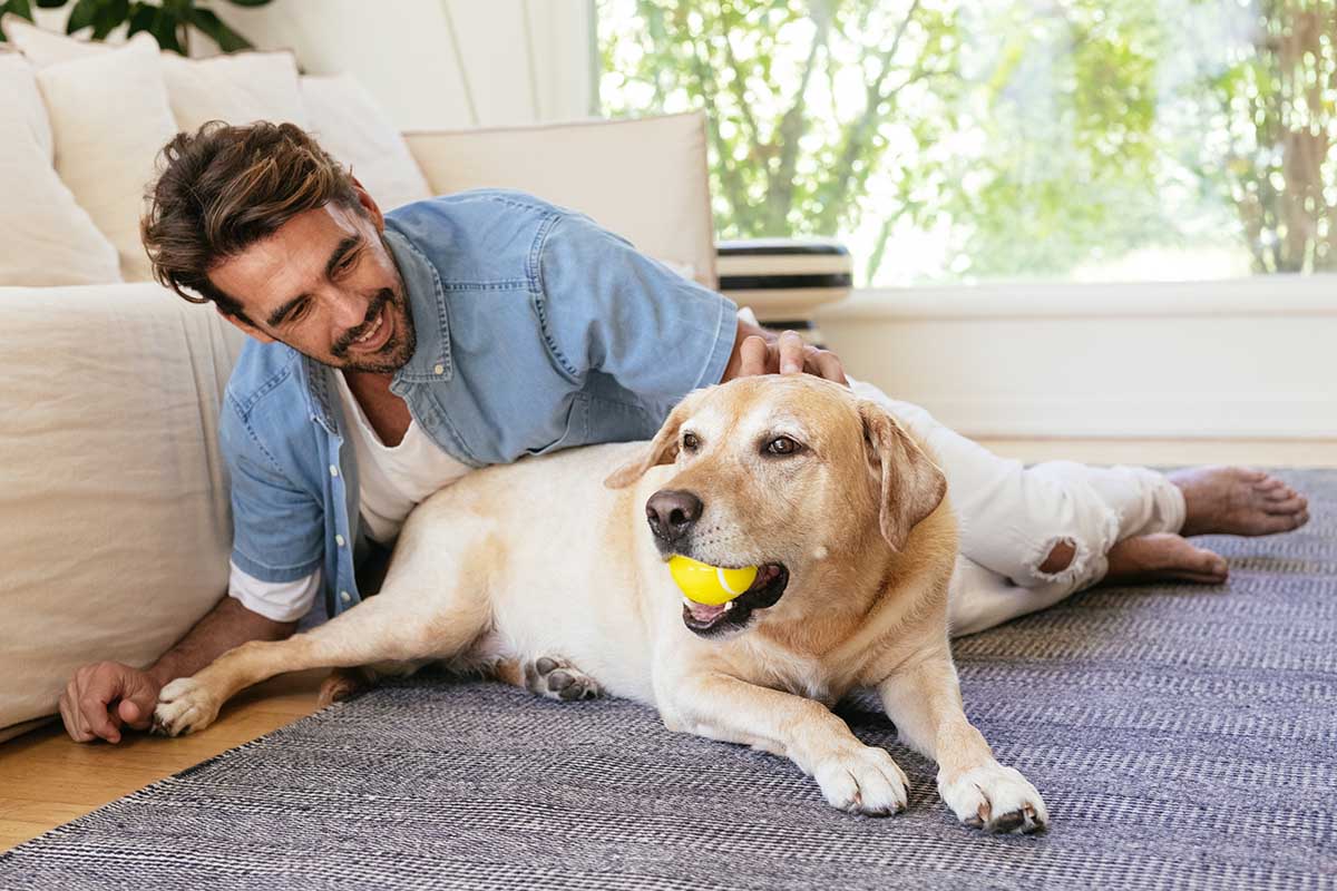 dog and human with ball