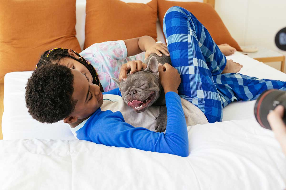 happy french bully with family