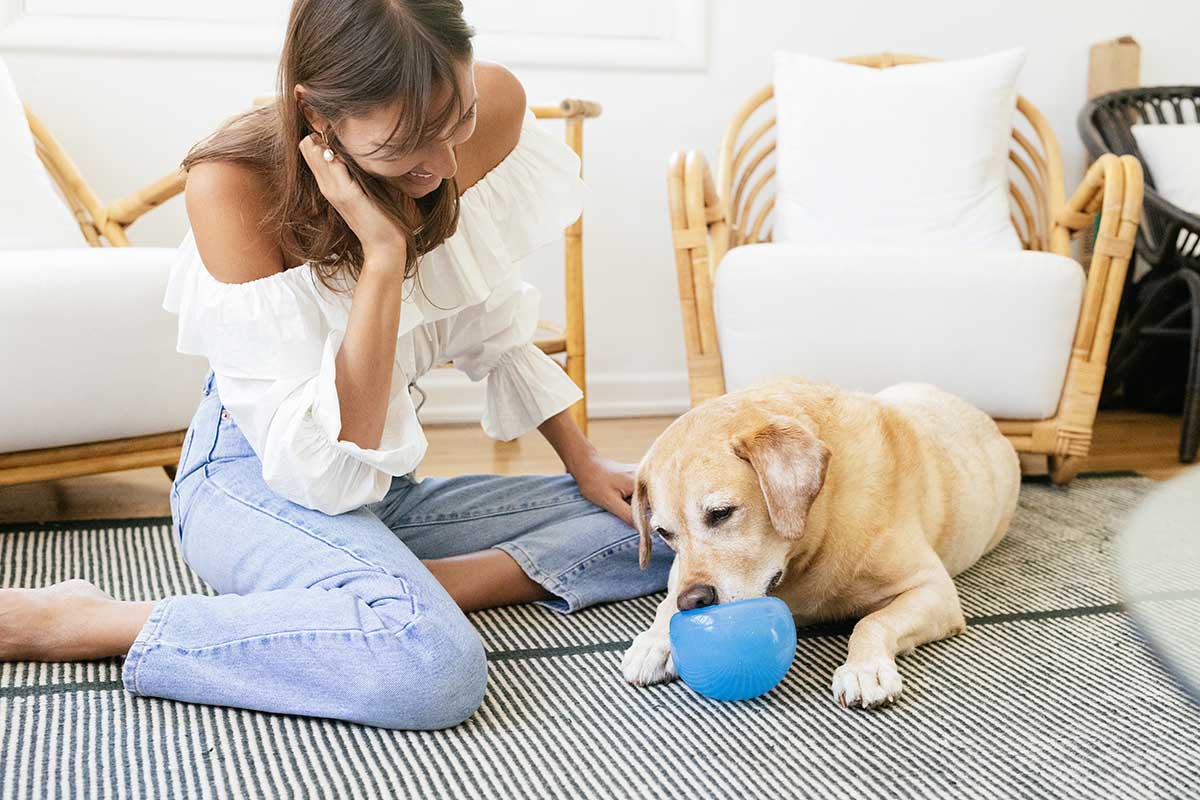10 Dog Treat Balls for Mental Stimulation