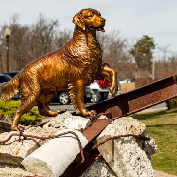 Thoughtful Get Well Gifts for Dogs – Outward Hound