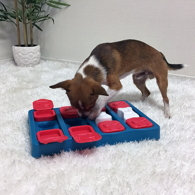 Outward Hound Nina Ottosson Brick Puzzle Enrichment Dog Toy