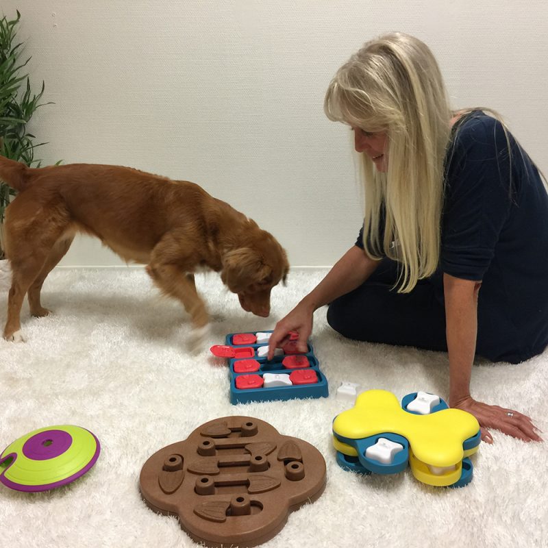 nina ottosson showing dog how to play with dog puzzles