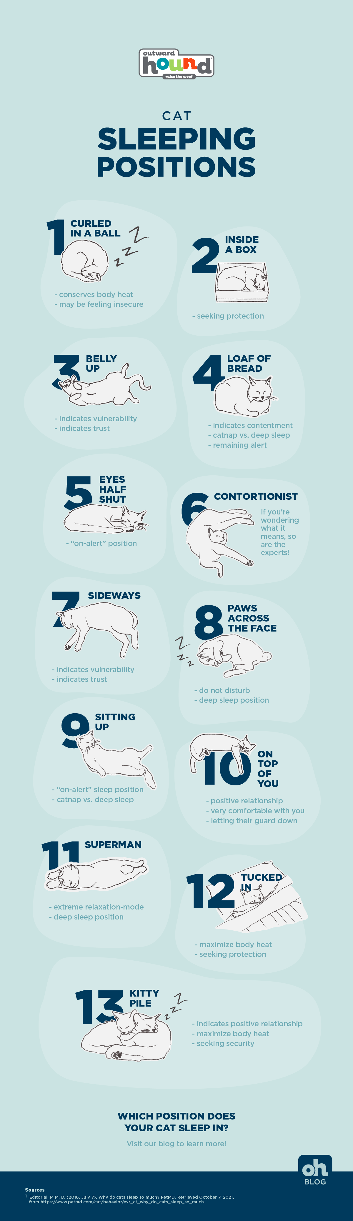 cat sleeping positions infographic