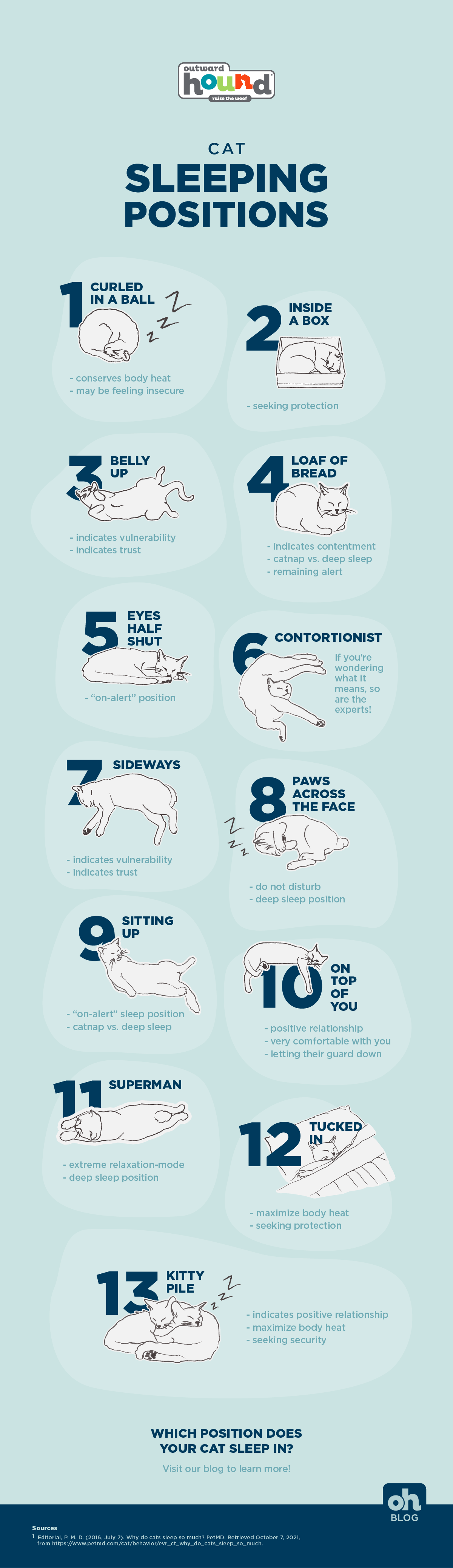 Couple Sleeping Positions Meaning