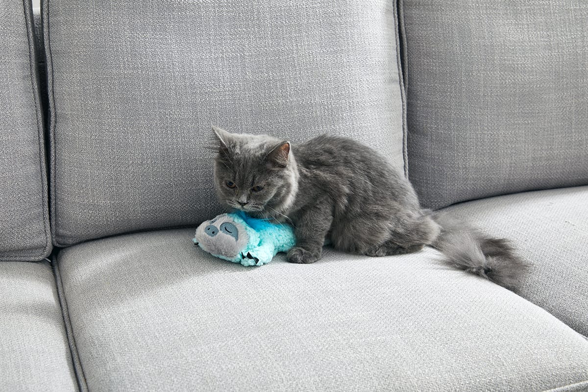 christmas cat toys purr pillow