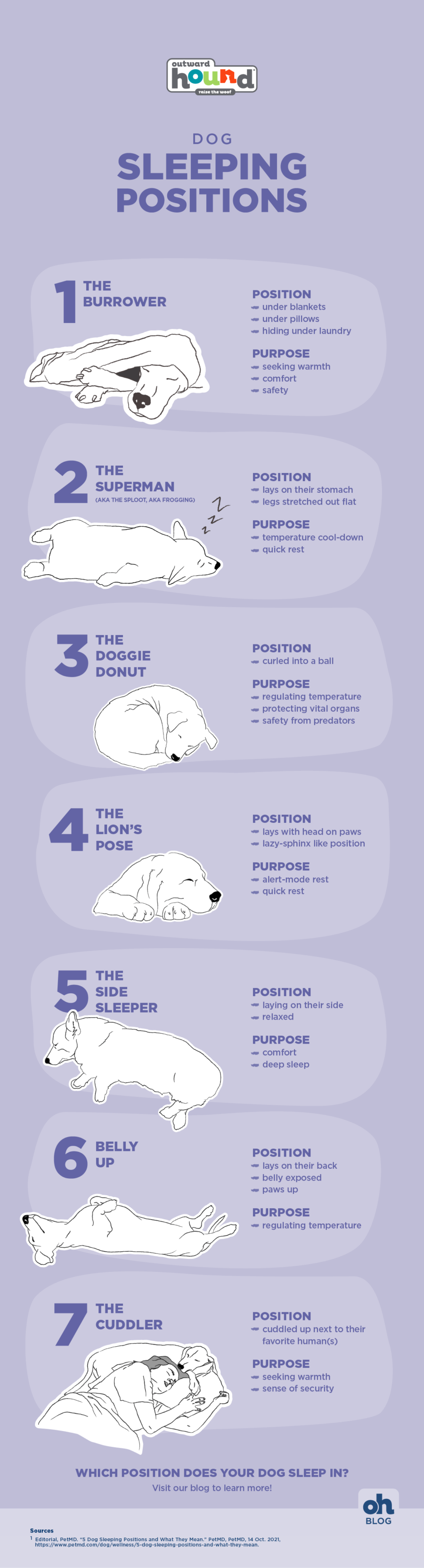 couple sleeping positions and what they mean