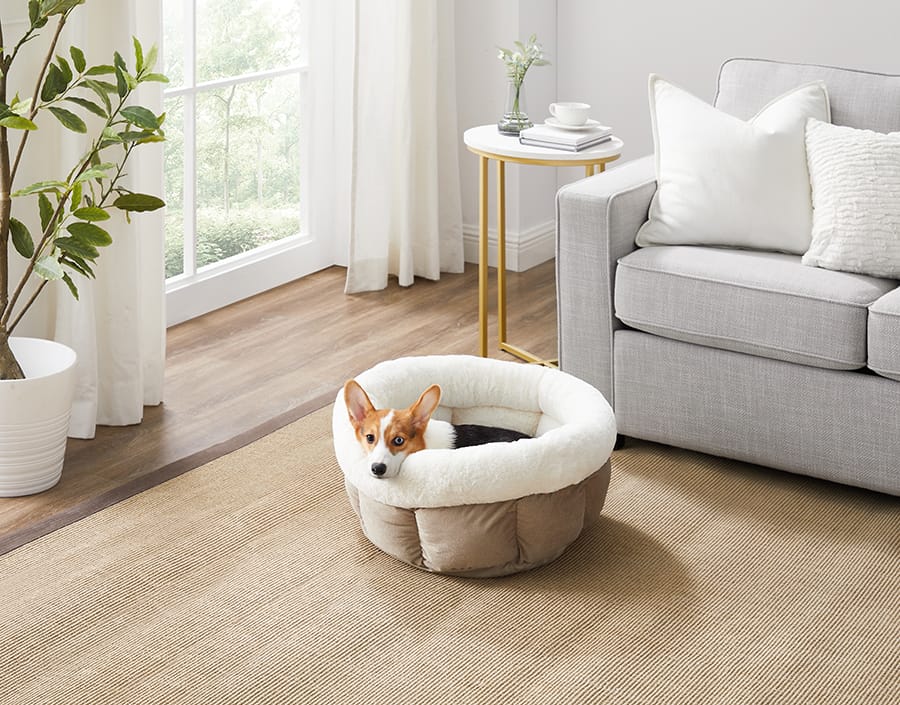 calming pet bed cuddle cup